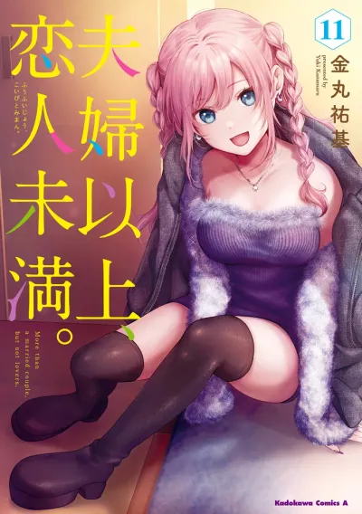 『夫婦以上、恋人未満。』第11巻の表紙