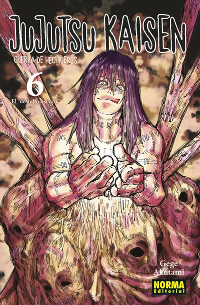 Portada de Jujutsu Kaisen, Tomo 6