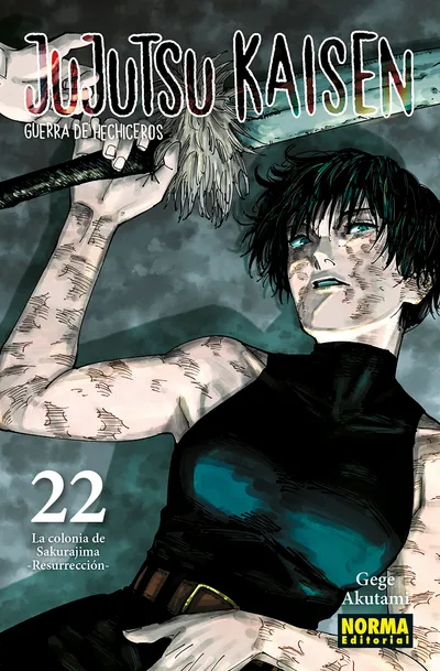 Portada de Jujutsu Kaisen, Tomo 22