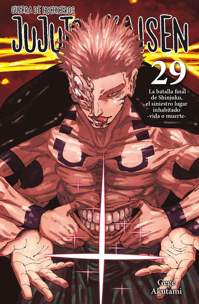 Portada de Jujutsu Kaisen, Tomo 29