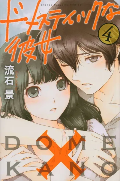 Cover of Domestic Girlfriend, Vol. 4