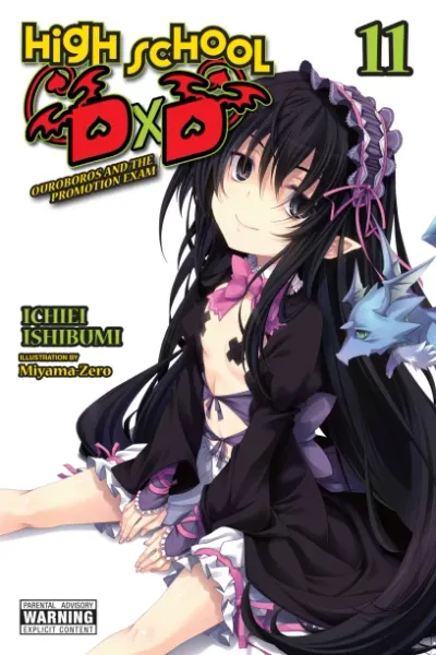 Cover of High School DxD, Vol. 11 (English edition)