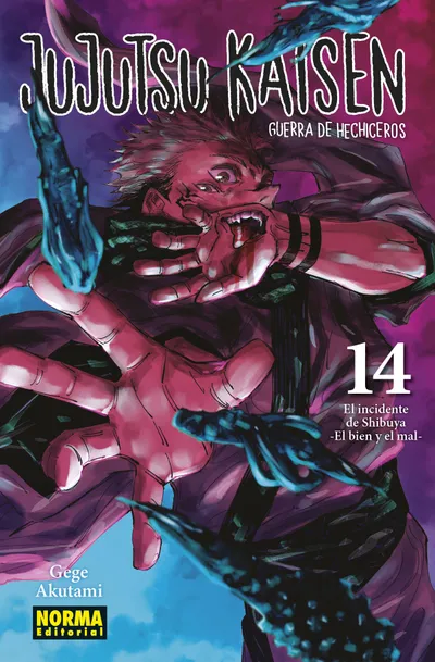 Portada de Jujutsu Kaisen, Tomo 14