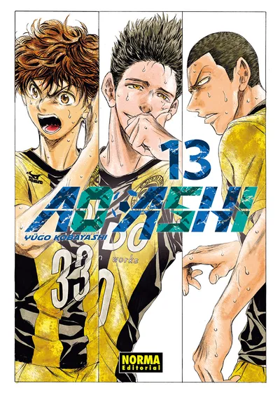 Portada de Aoashi, Tomo 13