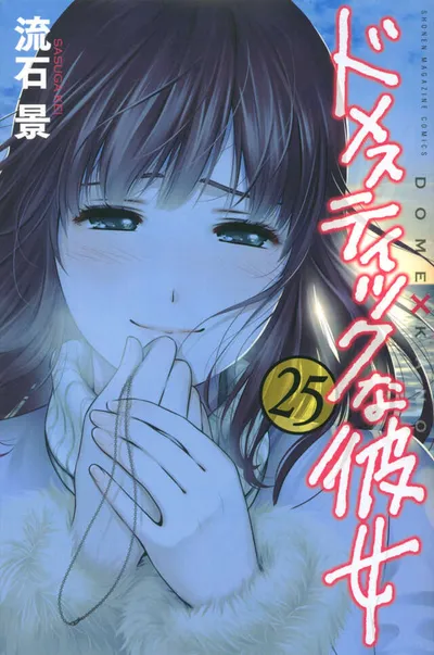 Cover of Domestic Girlfriend, Vol. 25