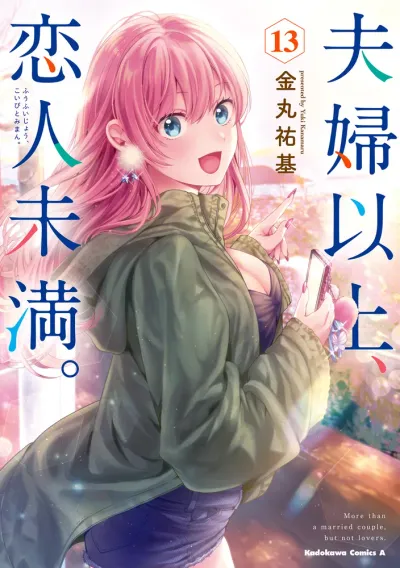 『夫婦以上、恋人未満。』第13巻の表紙