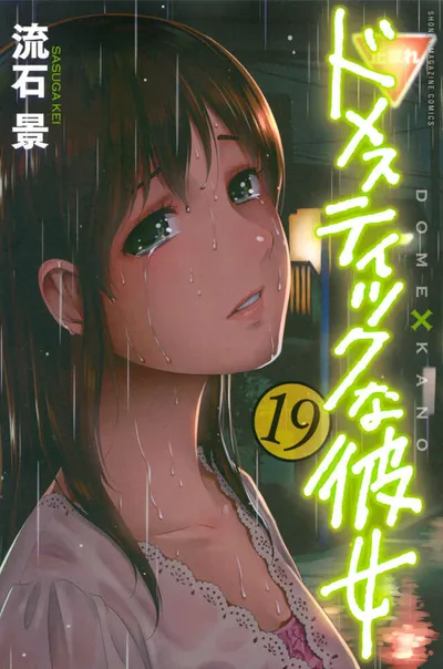 Cover of Domestic Girlfriend, Vol. 19