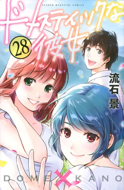 Cover of Domestic Girlfriend, Vol. 28