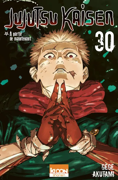 Couverture de Jujutsu Kaisen, Tome 30