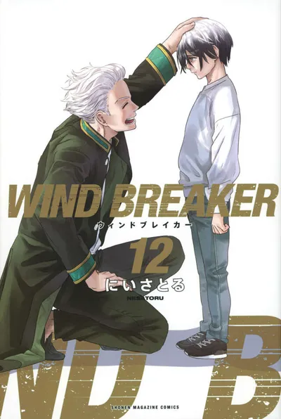 『WIND BREAKER』第12巻の表紙（日本語版）