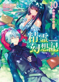 『精霊幻想記』第10巻の表紙