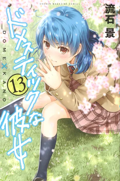 Cover of Domestic Girlfriend, Vol. 13