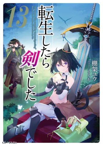 『転生したら剣でした』第13巻の表紙
