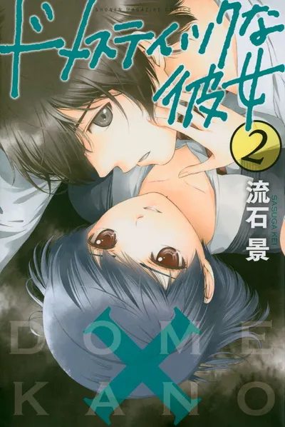 Cover of Domestic Girlfriend, Vol. 2