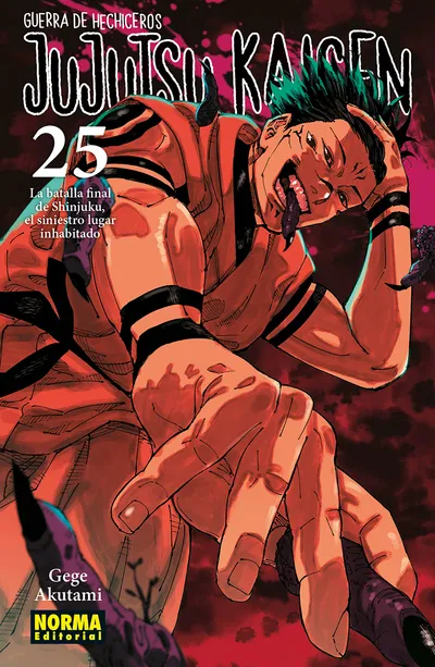 Portada de Jujutsu Kaisen, Tomo 25