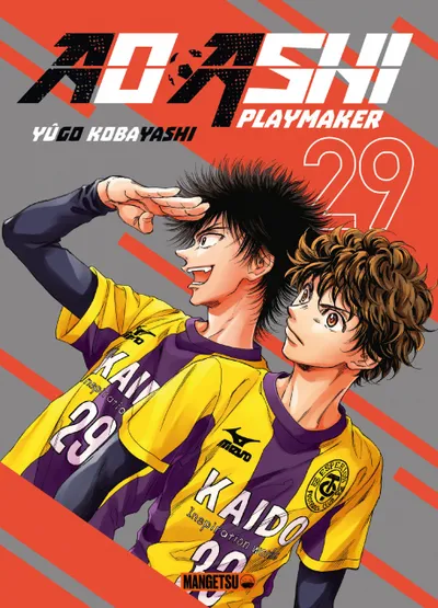 Couverture de Aoashi, Tome 29
