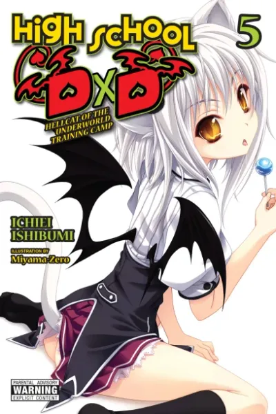 Cover of High School DxD, Vol. 5 (English edition)
