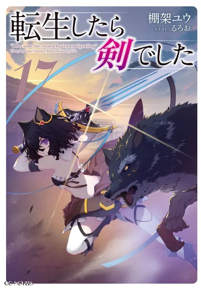 『転生したら剣でした』第17巻の表紙