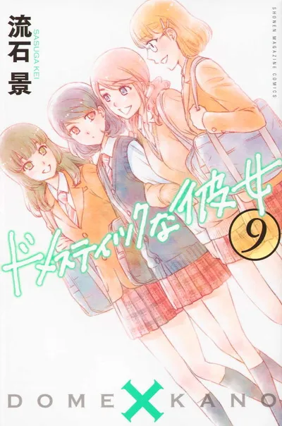 Cover of Domestic Girlfriend, Vol. 9