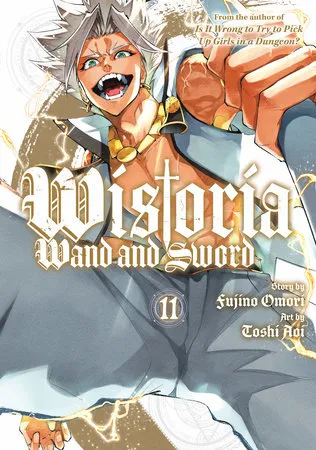 Cover of Wistoria: Wand and Sword, Vol. 11
