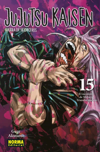 Portada de Jujutsu Kaisen, Tomo 15