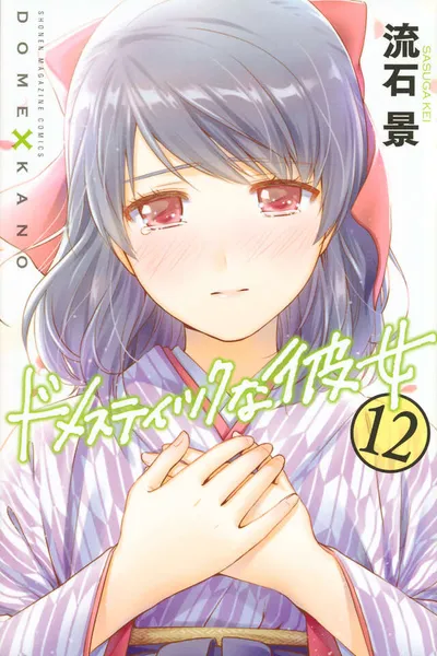 Cover of Domestic Girlfriend, Vol. 12