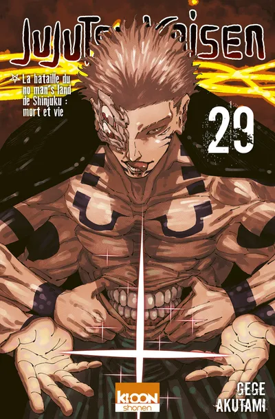 Couverture de Jujutsu Kaisen, Tome 29