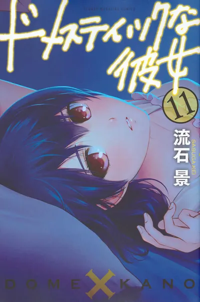 Cover of Domestic Girlfriend, Vol. 11