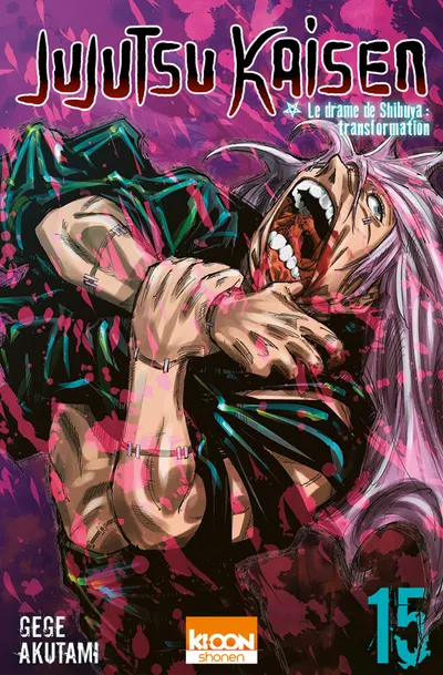 Couverture de Jujutsu Kaisen, Tome 15