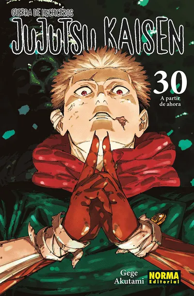 Portada de Jujutsu Kaisen, Tomo 30