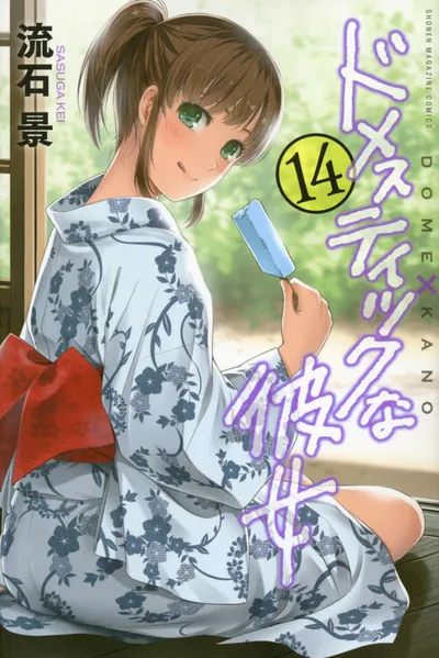 Cover of Domestic Girlfriend, Vol. 14